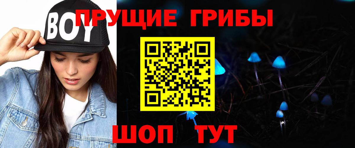 Галлюциногенные грибы Psilocybine cubensis Советский
